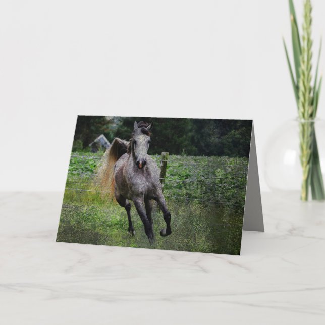 Arabian Horse Note Card (Front)