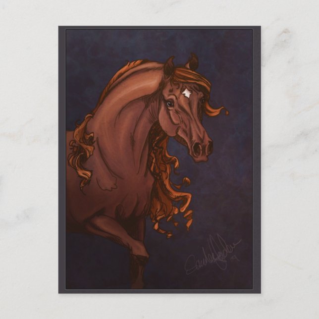 Arabian Horse Postcard (Front)