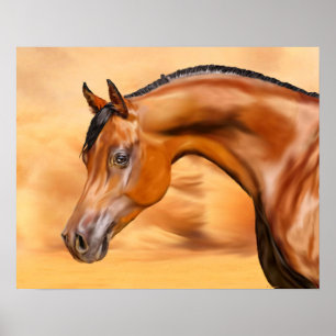 Arabian Horse Poster