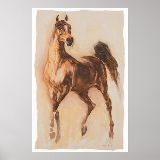 arabian horse poster (Front)