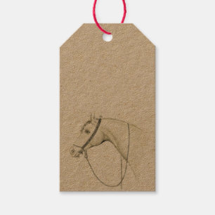 Arabian Horse  -  vintage drawing Gift Tags