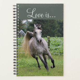 Arabian horse weekly and monthly planner