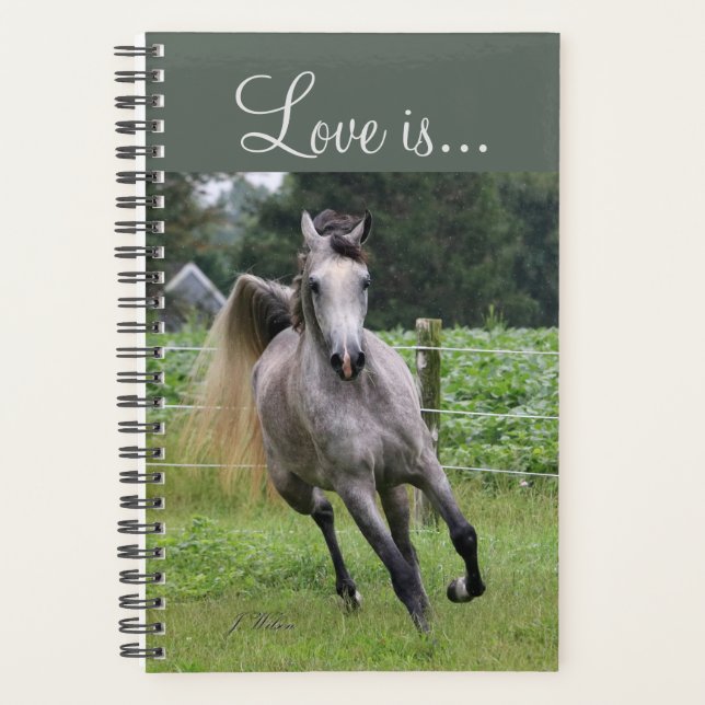 Arabian horse weekly and monthly planner (Front)