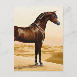 Arabian Horse - William Barraud Postcard