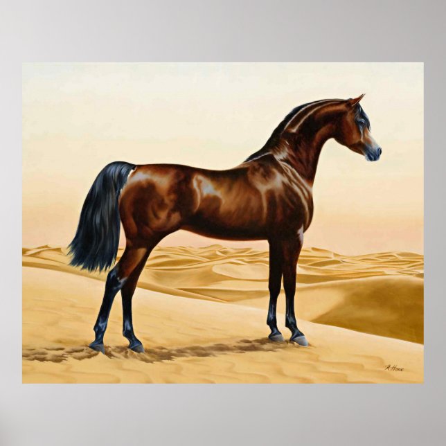 Arabian Horse - William Barraud Poster (Front)