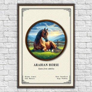 Arabian Horse Zoology Series Poster