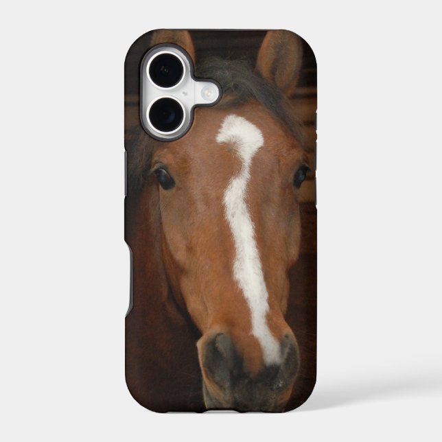 Arabian Horses (Back)