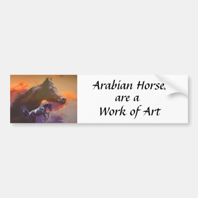 Arabian Horses Bumper sticker (Front)