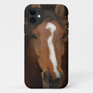 Arabian Horses iPhone 11 Case