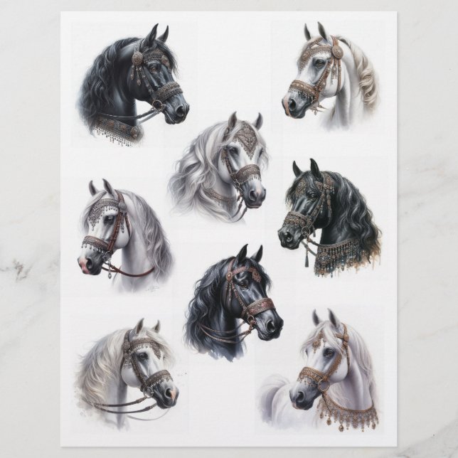 Arabian Horses with Beautiful Bridles (Front)