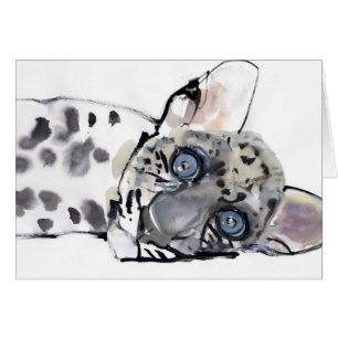 Arabian Leopard 2008  3