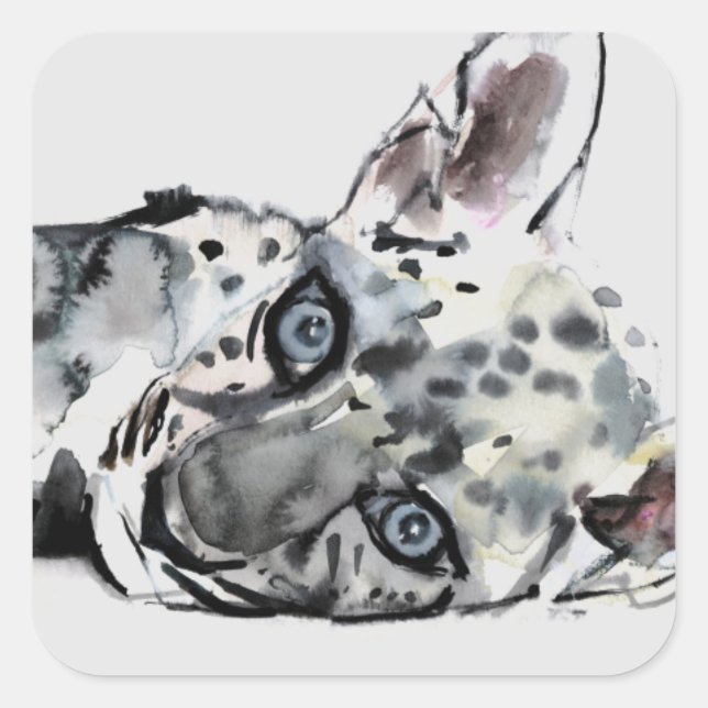 Arabian Leopard Cub 2008 Square Sticker (Front)
