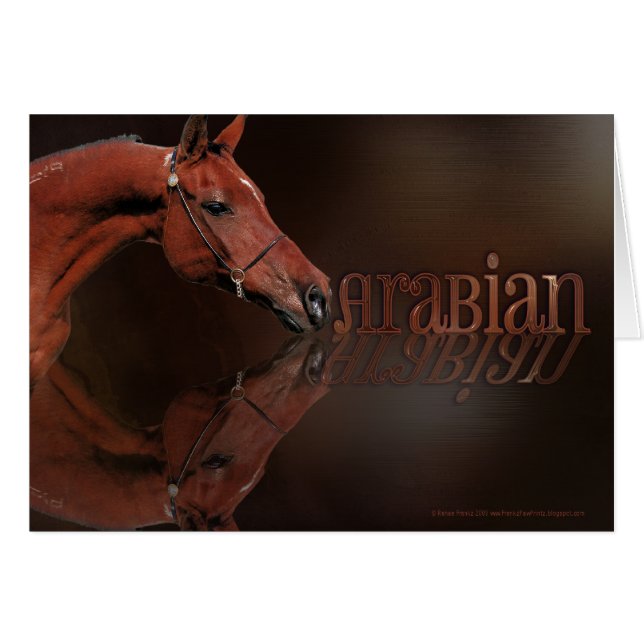 Arabian Reflection - Mama (Front Horizontal)