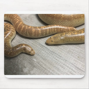 Arabian sand boa mouse mat