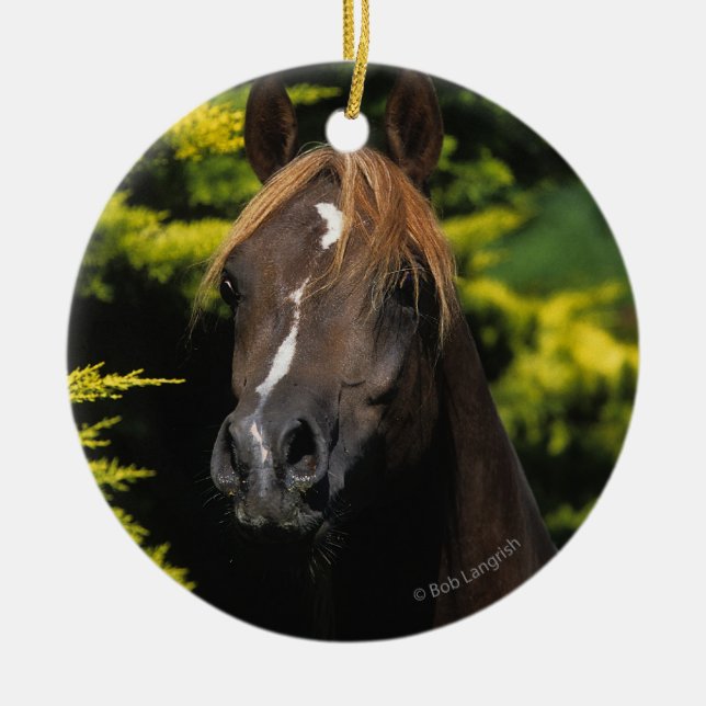 Arabian Stallion Ceramic Tree Decoration (Front)