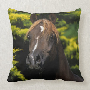 Arabian Stallion Cushion