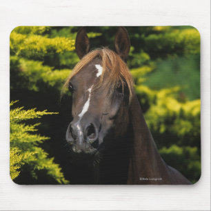 Arabian Stallion Mouse Mat