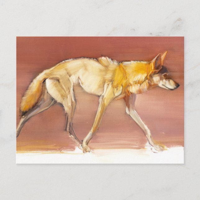 Arabian Wolf 2010 Postcard (Front)