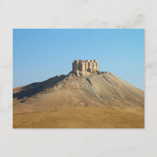 Arabic Castle, Palmyra, Ancient Syria Postcard
