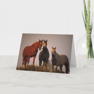 Arabs at Sunset Card