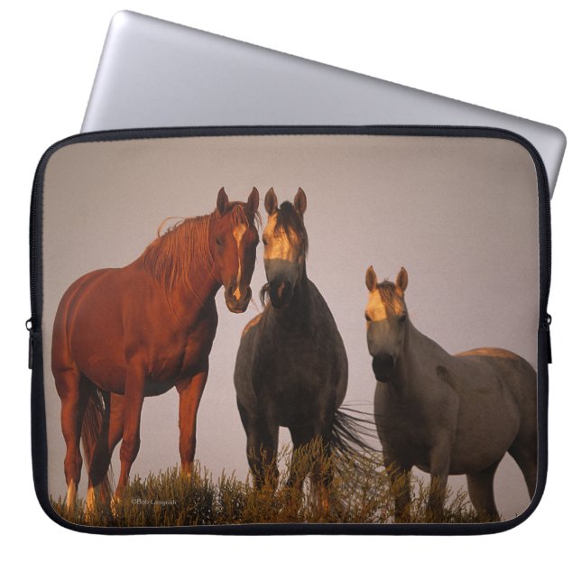 Arabs at Sunset Laptop Sleeve (Front)