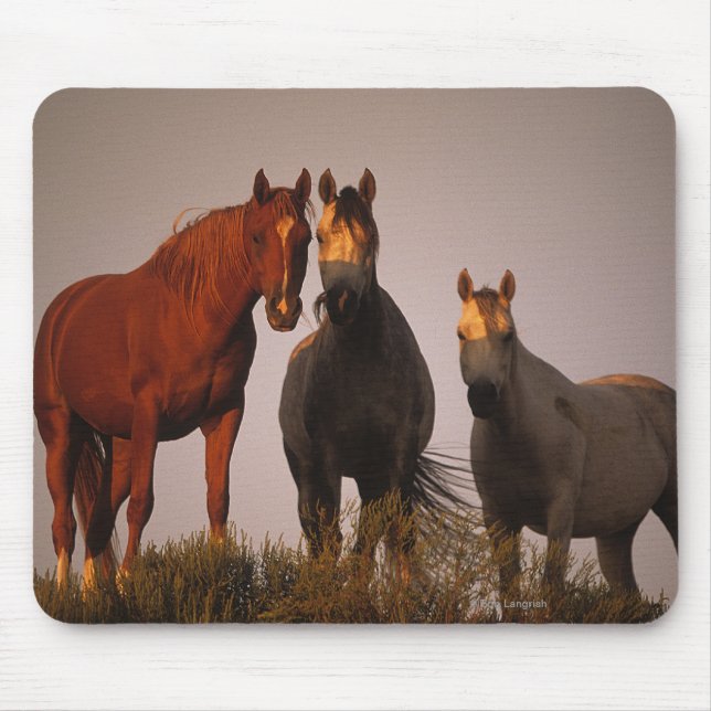 Arabs at Sunset Mouse Mat (Front)