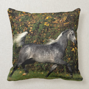 Arabs Running: Autumn Cushion
