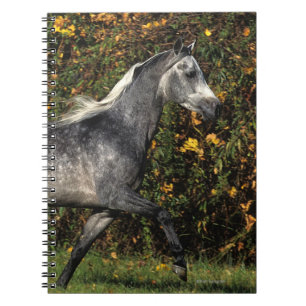 Arabs Running: Autumn Notebook