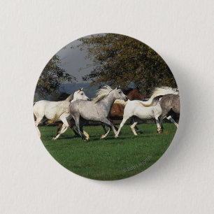 Arabs Running in Field 6 Cm Round Badge