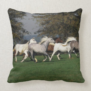 Arabs Running in Field Cushion