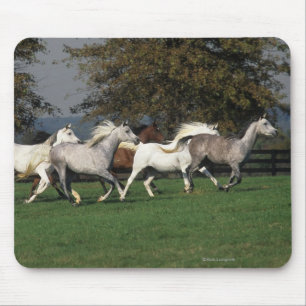 Arabs Running in Field Mouse Mat