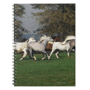 Arabs Running in Field Notebook