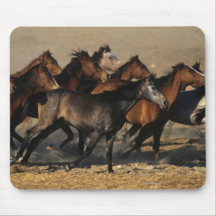 Arabs Running in the Desert Mouse Mat
