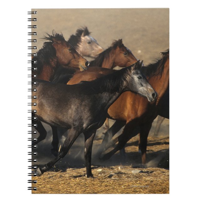 Arabs Running in the Desert Notebook (Front)