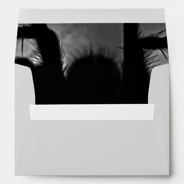 Arachne the Spider Envelope (Back (Bottom))