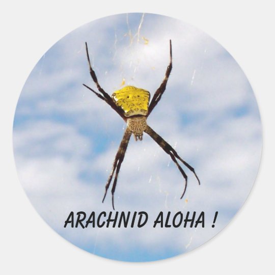 Arachnid Aloha Hawaiian Garden Spider Classic Round Sticker