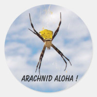 Arachnid Aloha Hawaiian Garden Spider
