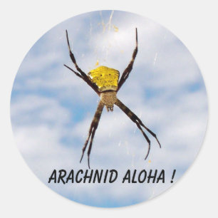 Arachnid Aloha Hawaiian Garden Spider Classic Round Sticker