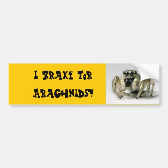 Arachnid Bumper Sticker (Front)
