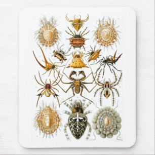 Arachnida (Spiders), Ernst Haeckel Fine Art Mouse Mat