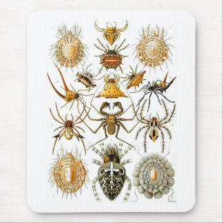 Arachnida (Spiders), Ernst Haeckel Fine Art Mouse Mat