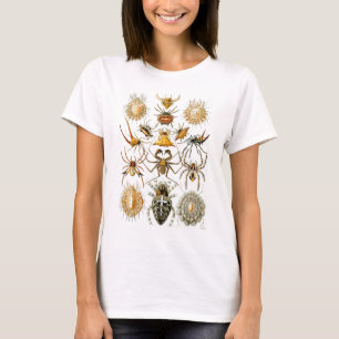 Arachnida (Spiders), Ernst Haeckel Fine Art T-Shirt