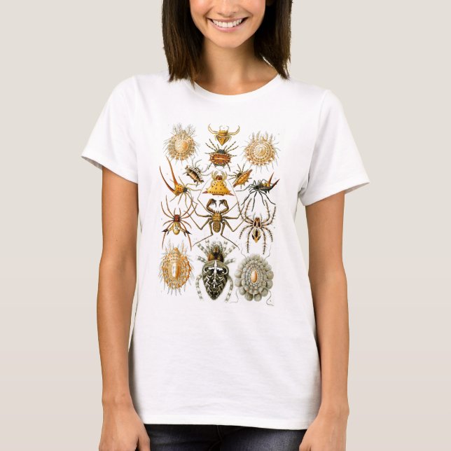 Arachnida (Spiders), Ernst Haeckel Fine Art T-Shirt (Front)