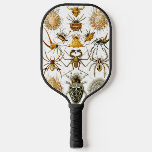 Arachnids by Haeckel vintage spider illustration  Pickleball Paddle