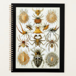 Arachnids by Haeckel vintage spider illustration Planner<br><div class="desc">A beautiful depiction of land and water arachnids. Done in rich colours and bold with a delicate touch. This wonderful collage of creepy crawlies was done by Ernest Haeckel, is in the public domain and derived from wikimedia commons. Personalisation is optional.</div>