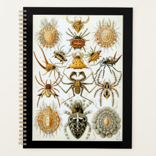 Arachnids by Haeckel vintage spider illustration  Planner