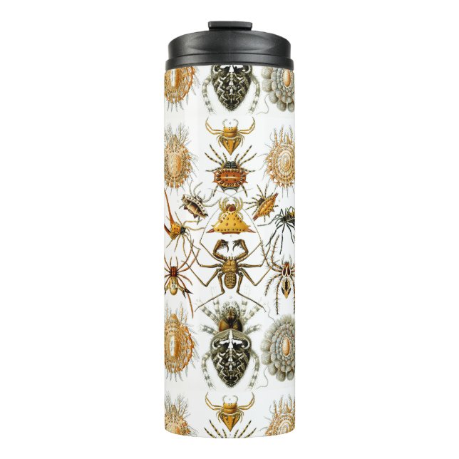 Arachnids by Haeckel vintage spider illustration  Thermal Tumbler (Front)