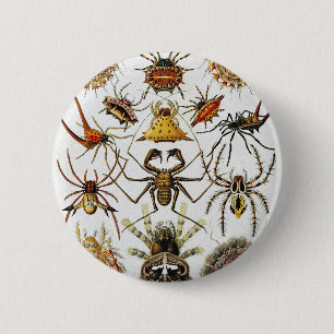 Arachnids Golden  Spiders plate 66 6 Cm Round Badge