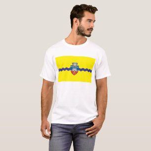 arad city flag romania symbol T-Shirt