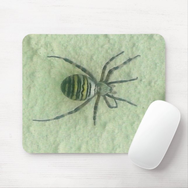 Araignee spider mouse mat (With Mouse)
